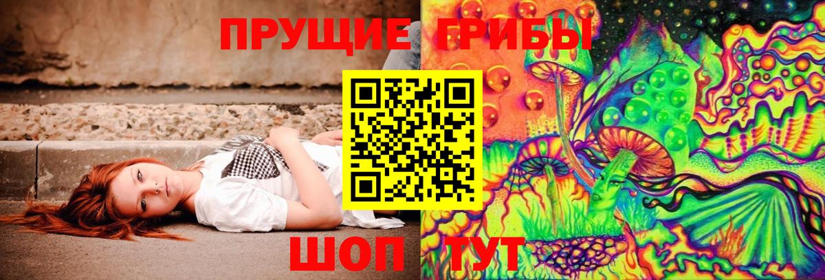 Псилоцибиновые грибы Psilocybe  Вход с VPN  Можга 