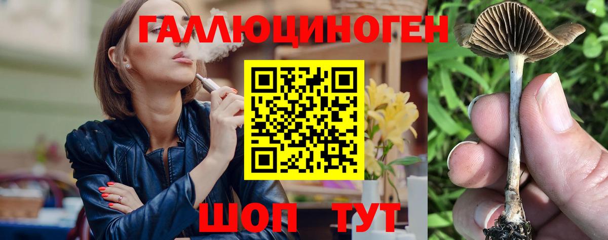 Галлюциногенные грибы Cubensis Можга