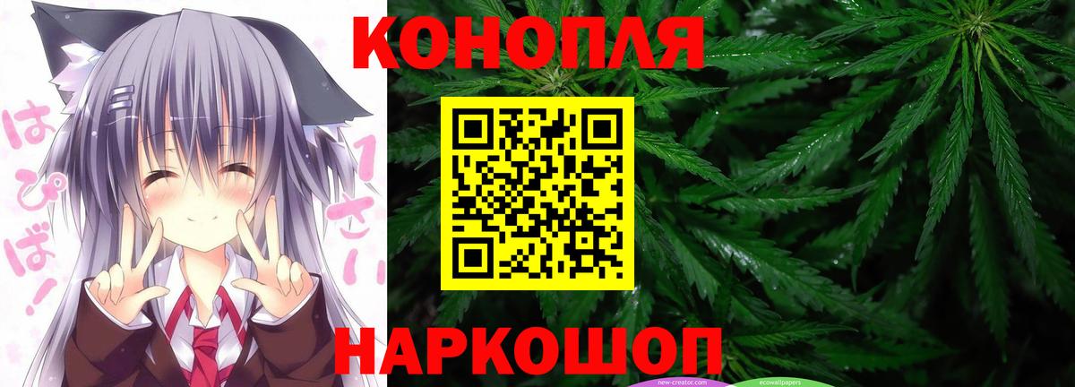 Конопля OG Kush Можга